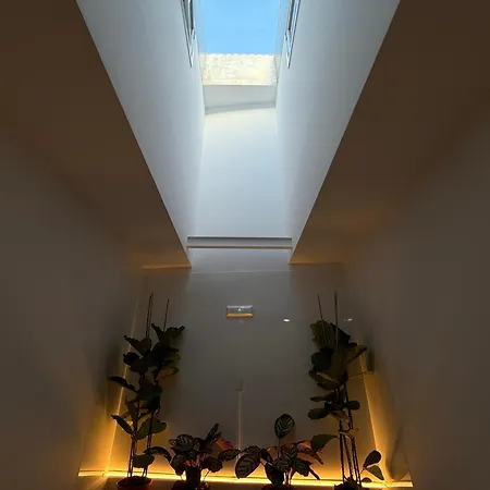 Plaza Lotf L1 By Urent