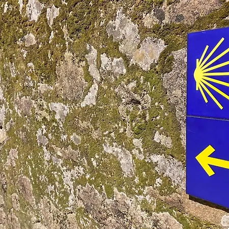 Plaza Lotf L1 By Urent *