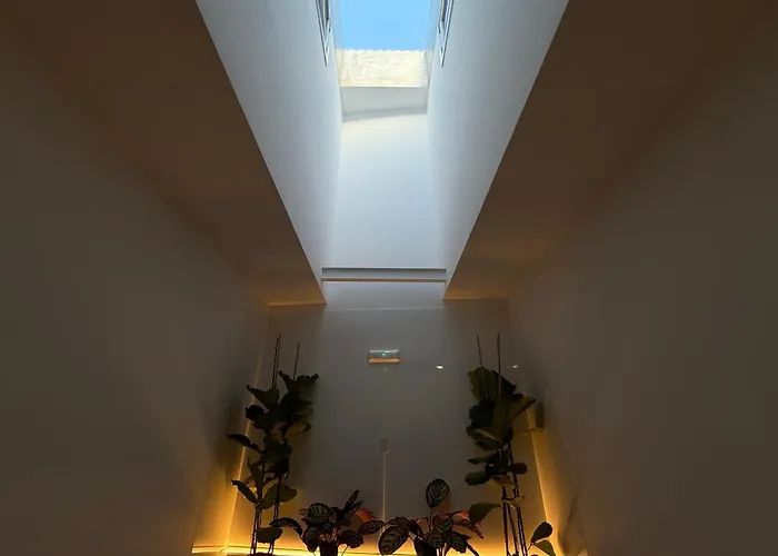 Plaza Lotf L1 By Urent